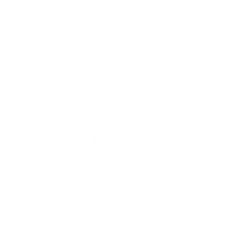 1. FC Köln