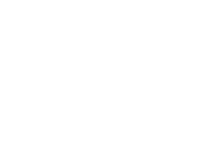 AI Village